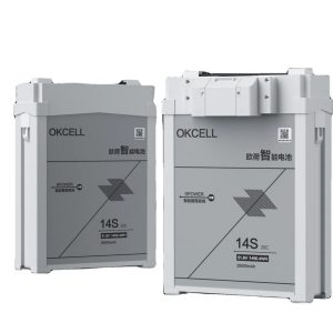 OKCELL 14S 28000mah HV 53.2V